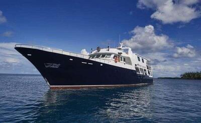 Codecasa Custom Truk master