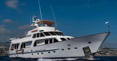 <b>Галерея</b>  Moonen 85 