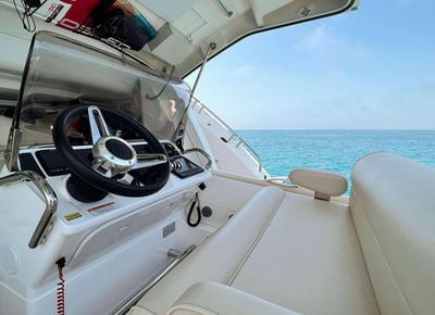  Sunseeker 116 Yacht Survivor 2  <b>Gallery</b>